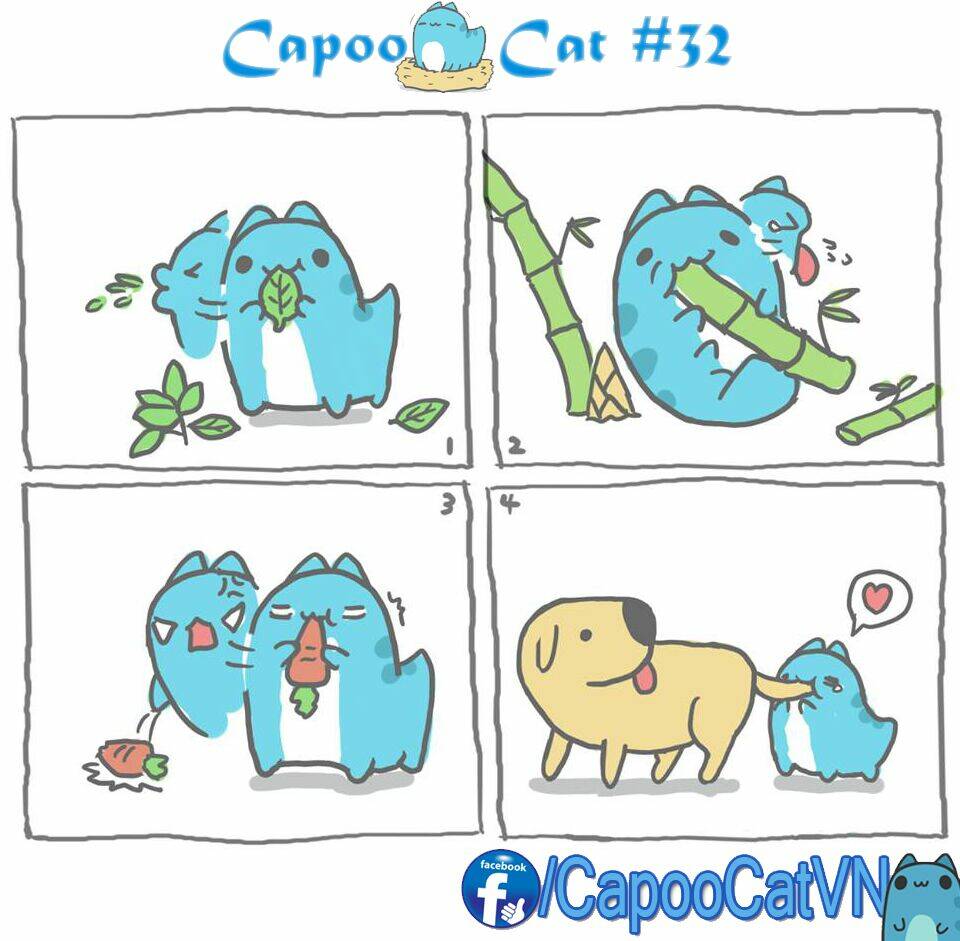 capoo cat chapter 4 2