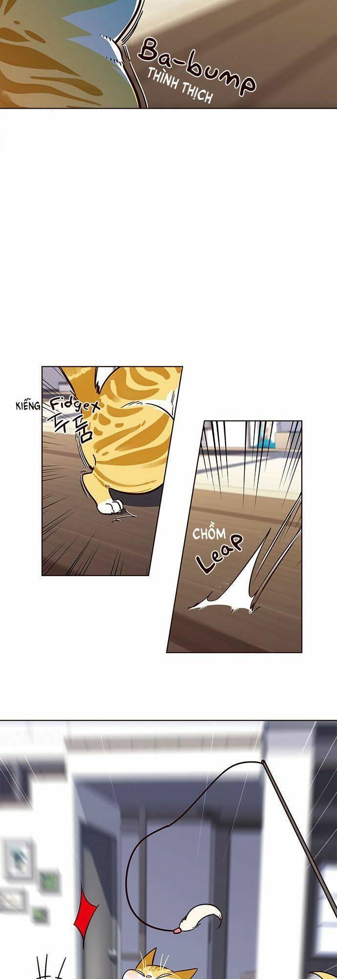 biến thân thành mèo chapter 16 20