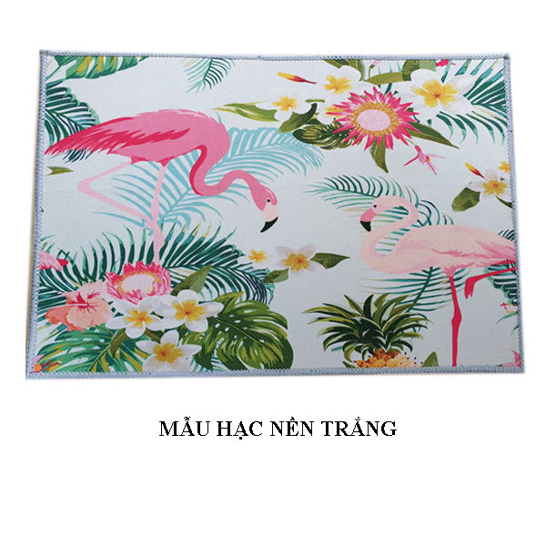 Thảm Lót Sàn Trang Trí Chống Trượt (40x60cm) 5 Mẫu Độc Đáo