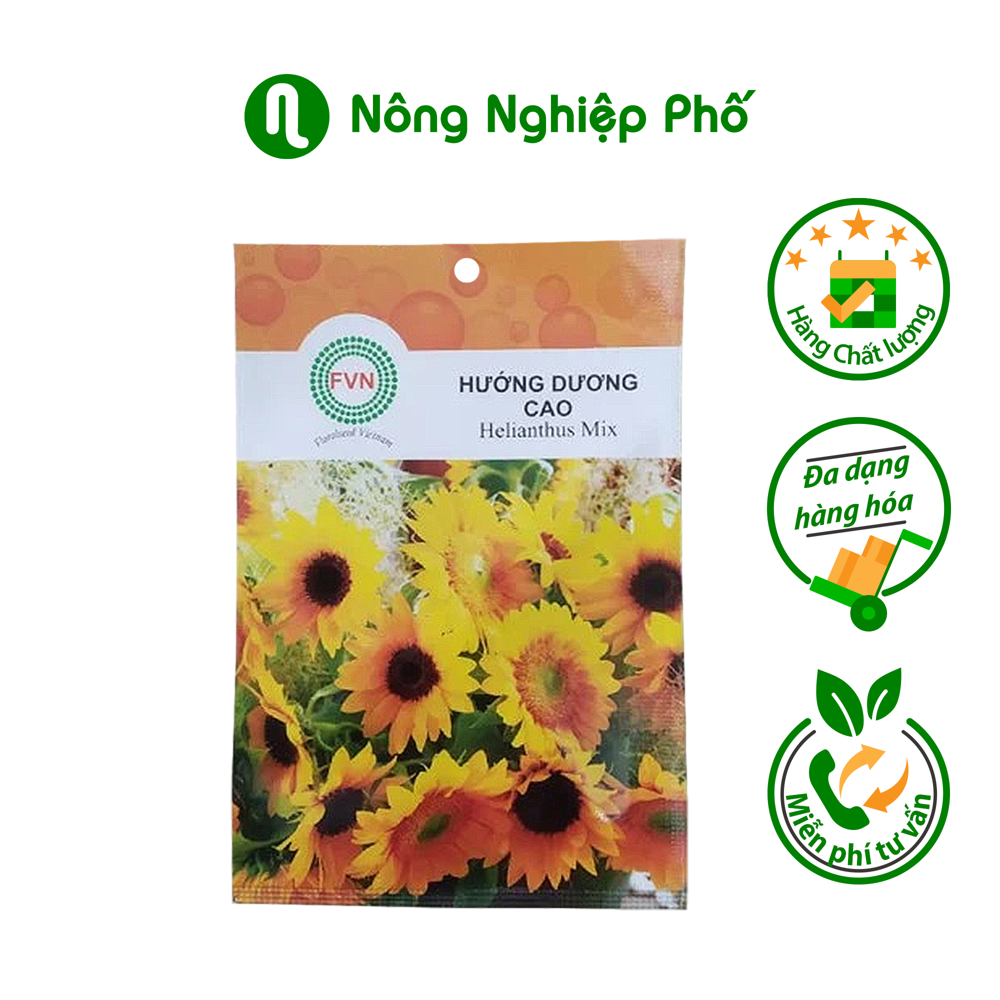 Hạt giống hoa hướng dương cao FVN - Gói 12 hạt