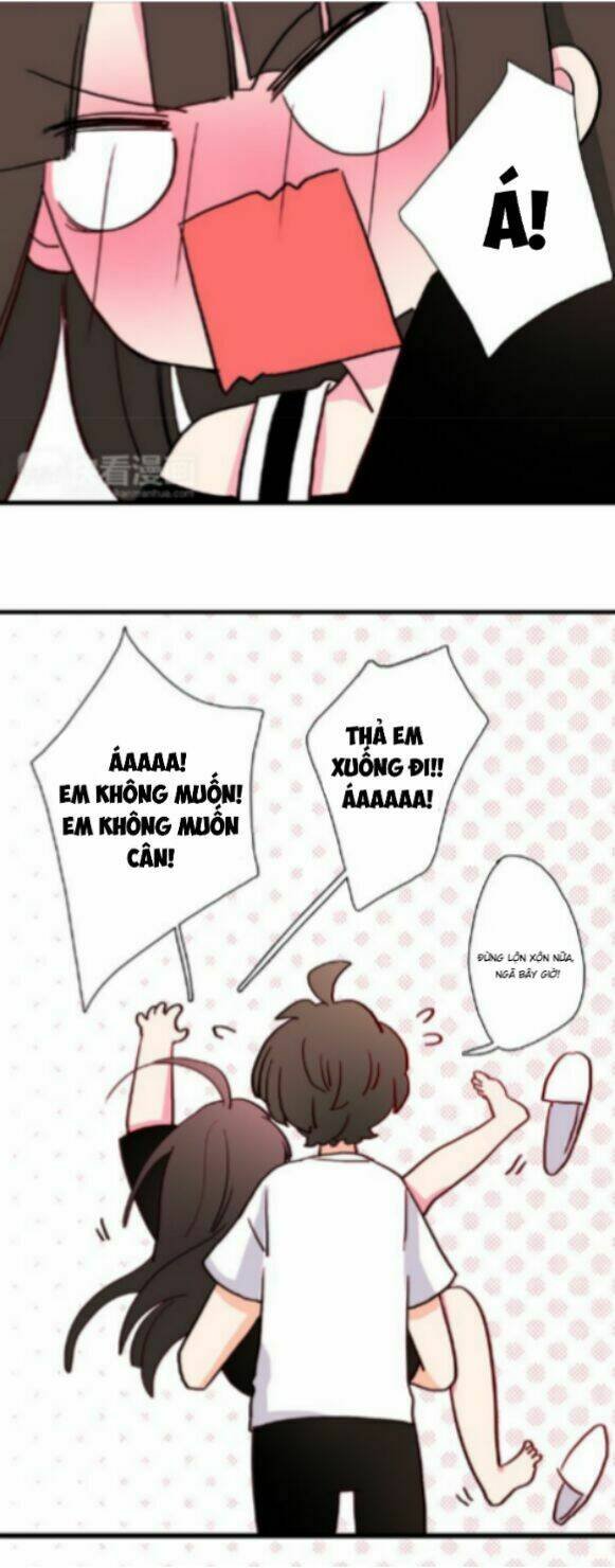 gấu nhỏ dư và thỏ thỏ hứa chapter 11 6