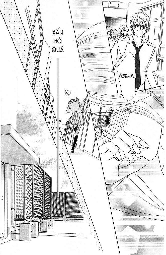 papillon hana to chou - hoa và bướm chapter 3 24