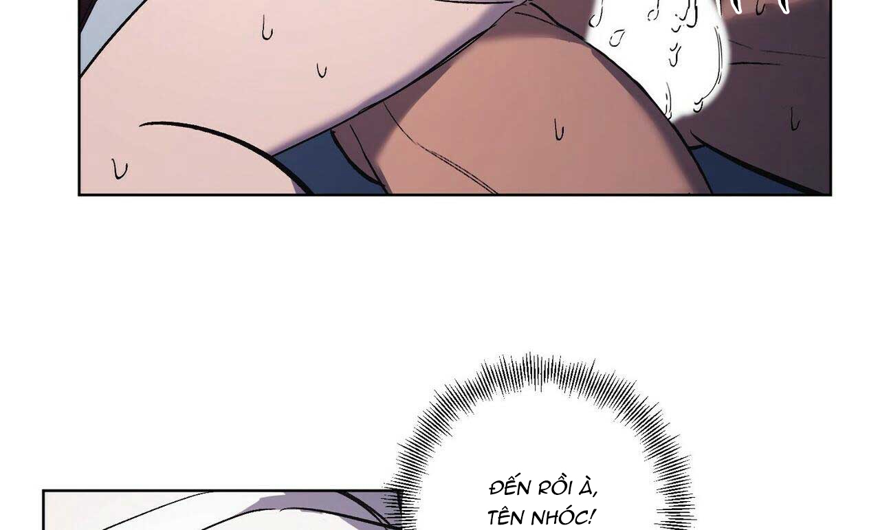 chàng dâu nhà họ kang chapter 23 21