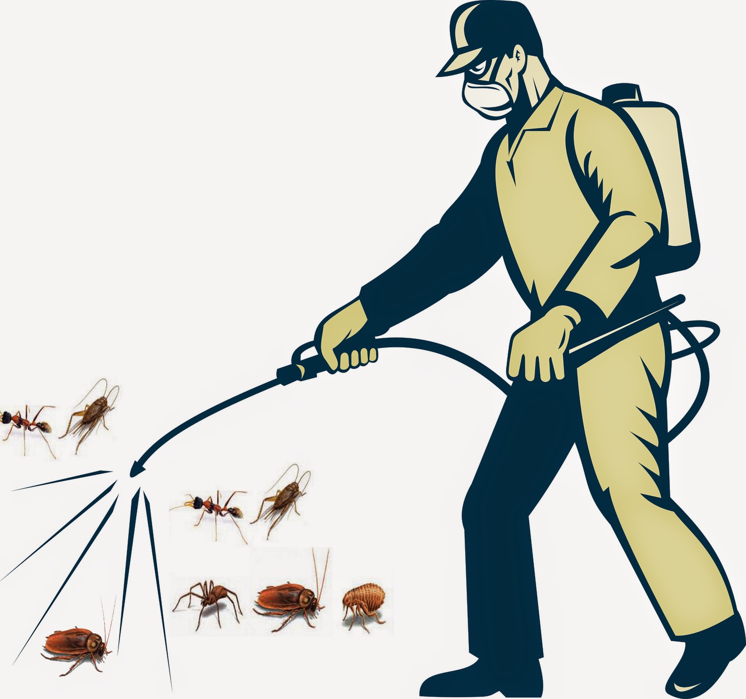 Thuốc diệt ruồi chuyên dụng cho chuồng trại, nhà hàng, quán ăn AGITA 10WG