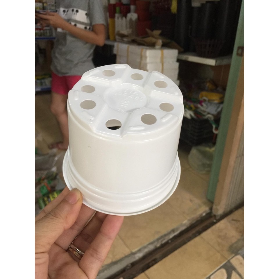 Combo 10 Chậu nhựa trồng cây trắng 10.5x8 cm