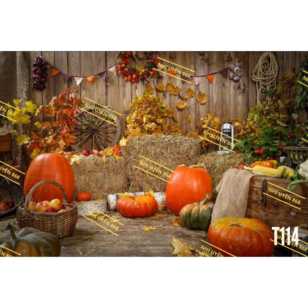 (Tổng hợp) Thảm vải chụp ảnh / Thảm vải treo tường / Tranh vải decor chủ đề Halloween (2