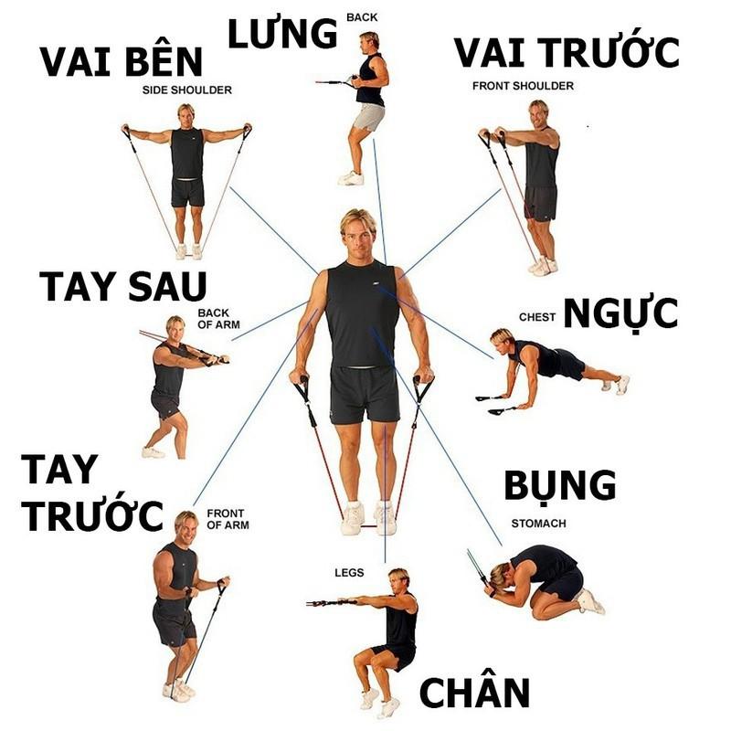 Dây Ngũ Sắc Tập Gym, Dây Kháng Lực Tập Gym, Thể Hình Đa Năng Tại Nhà Chất Liệu Cao Su Siêu Bền