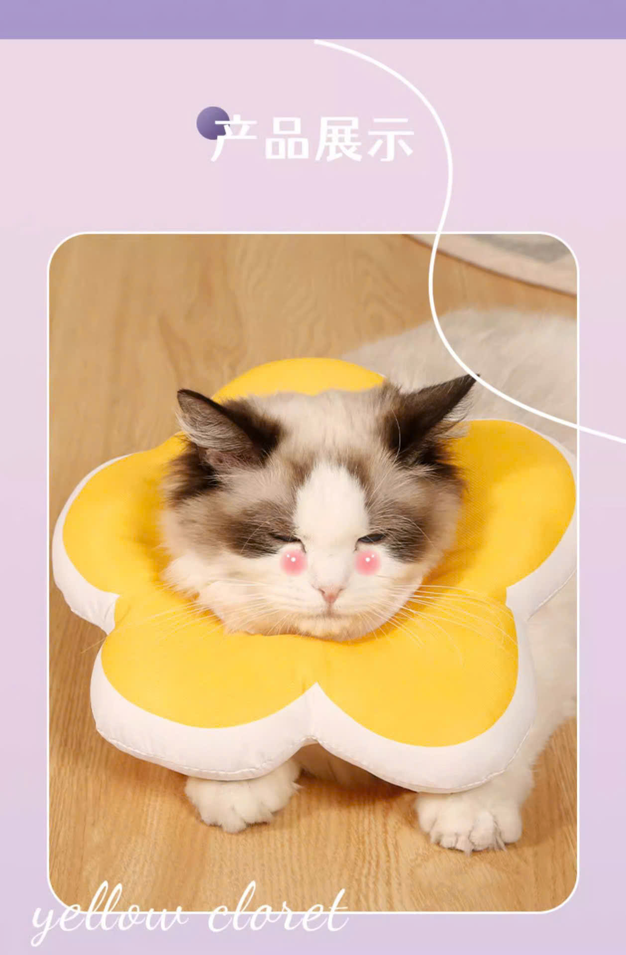 VÒNG CỔ THÚ CƯNG VÒNG CỔ LOA CHỐNG LIẾM CHO THỎ CHÓ MÈO BÔNG HOA DỄ THƯƠNG TỪ 0.5-5.5KG MÃ 10 CHO CHÓ MÈO THỎ