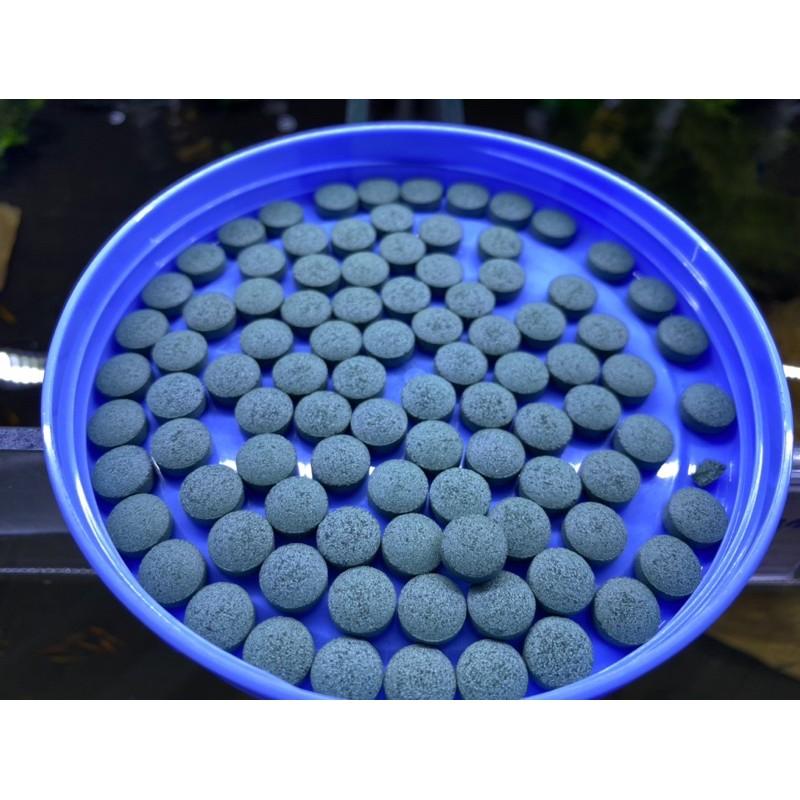 500 viên tảo - Thức ăn cho cá tép tốt cho tiêu hoá