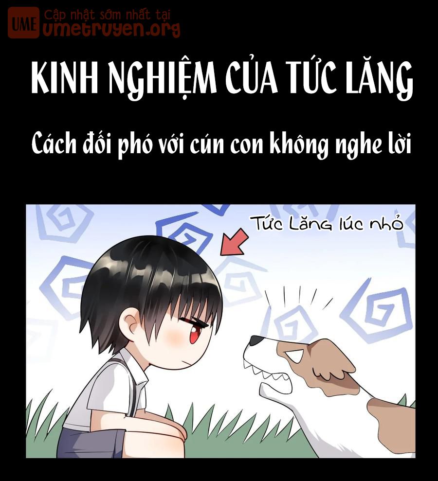 tức thời phạm quy [ tức thì vi quy ] chapter 25 15