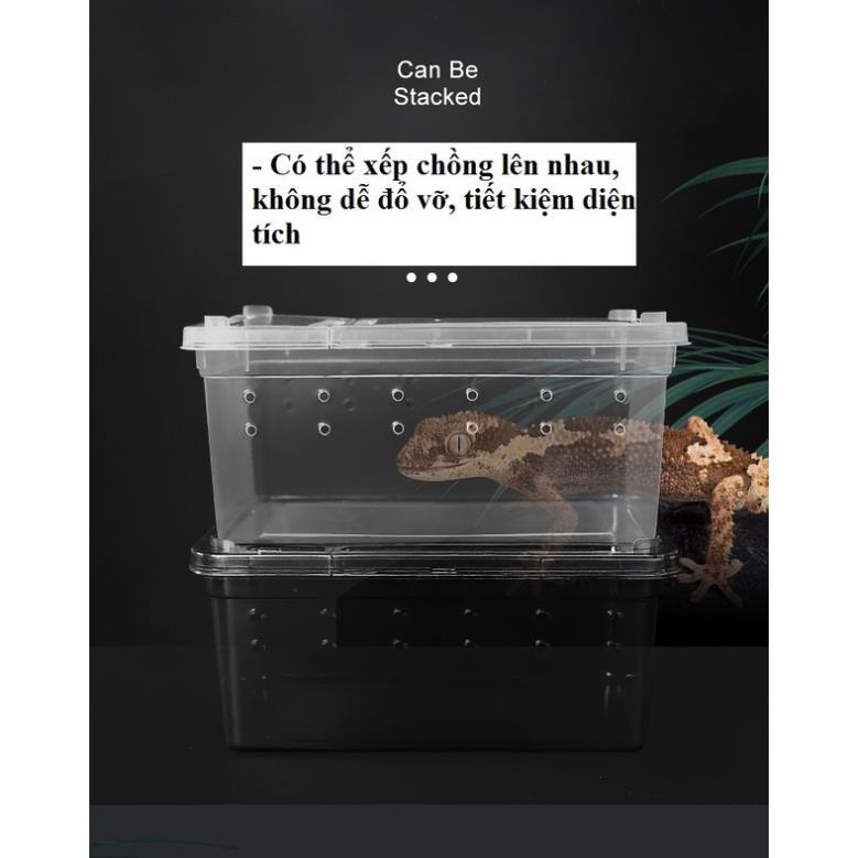 Hộp nuôi bò sát, hộp nuôi côn trùng, hộp nuôi thú cưng petstore