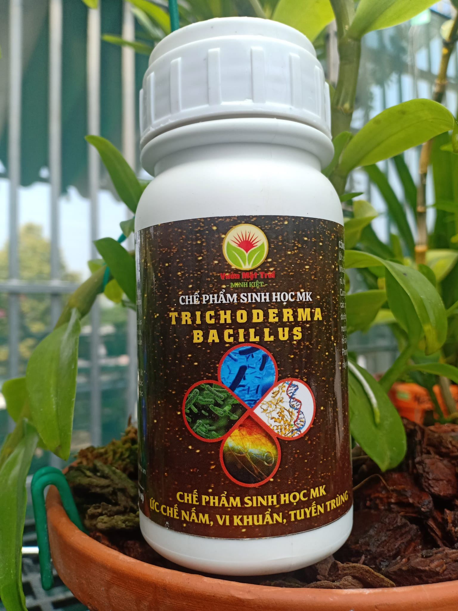 Chế Phẩm Sinh Học TRICHODERMA BACILLUS-250ml