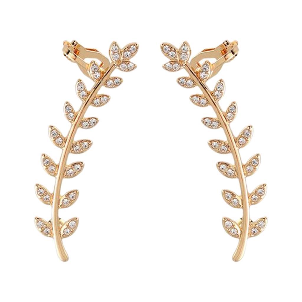 Earrings Ear Studs