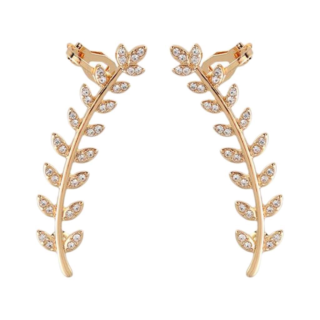 Earrings Ear Studs