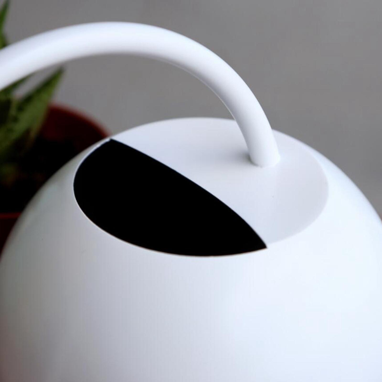 2x Long  Watering Can Garden Watering   Succulent Plants