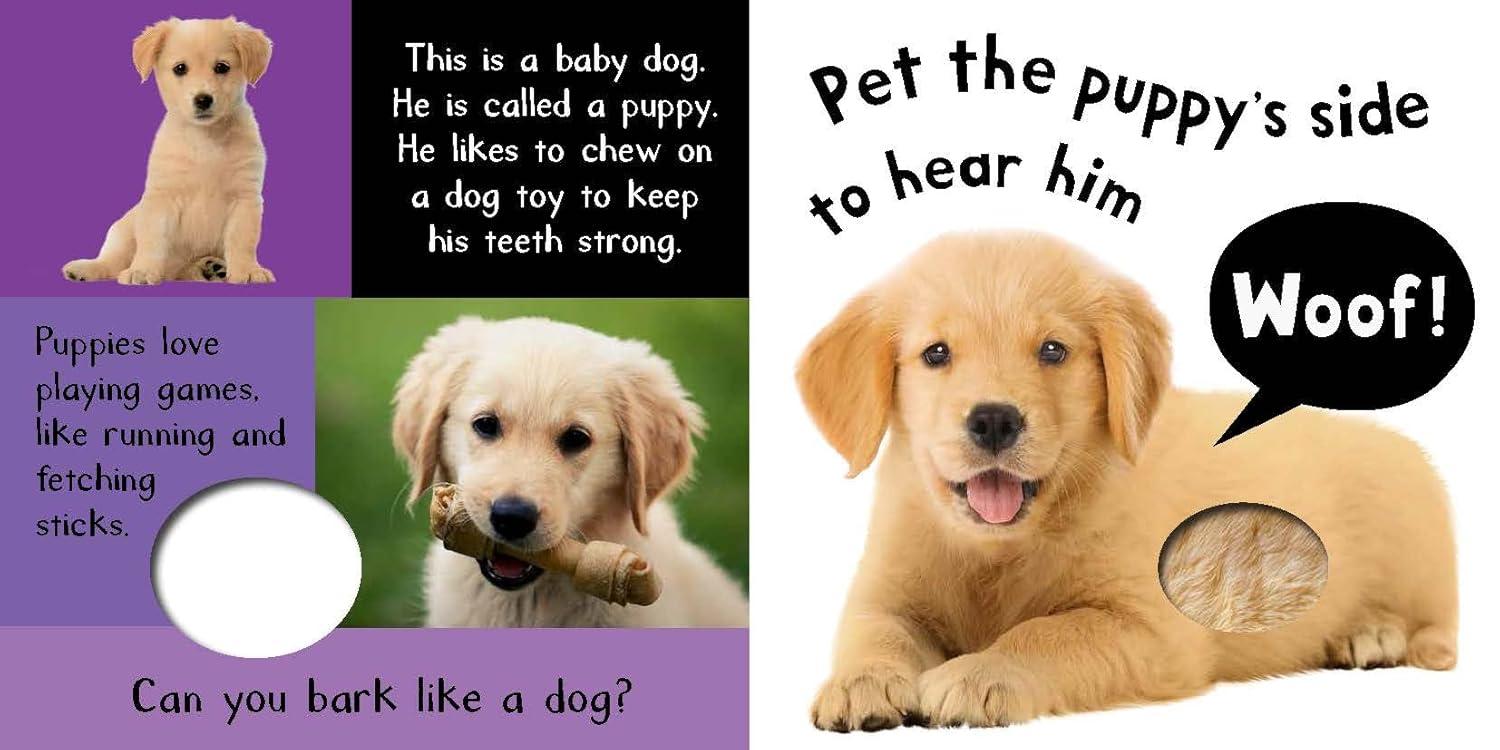 Sách ngoại văn: My First Touch And Feel Sound Book - Noisy Baby Animals
