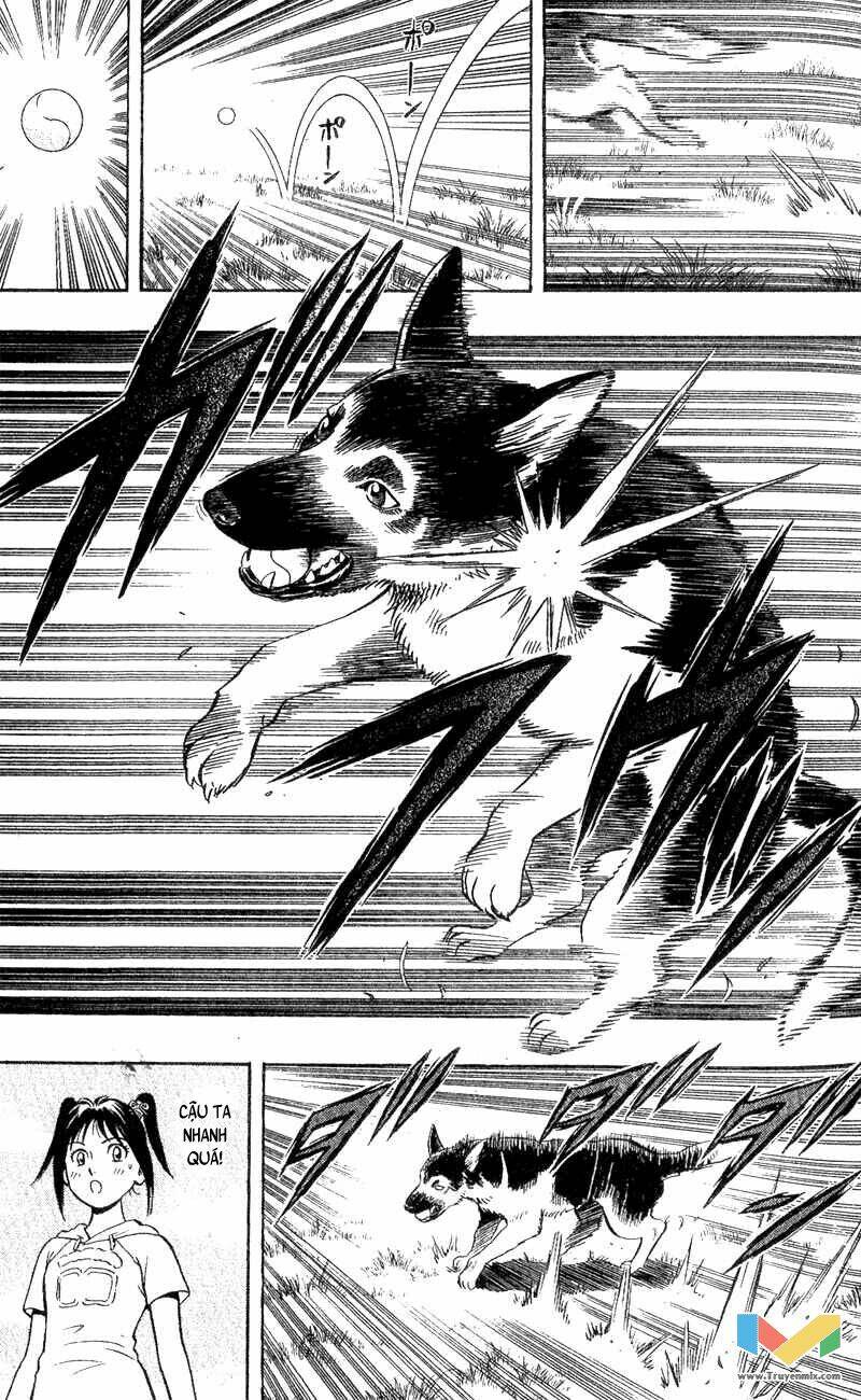 animal sense chapter 3 35