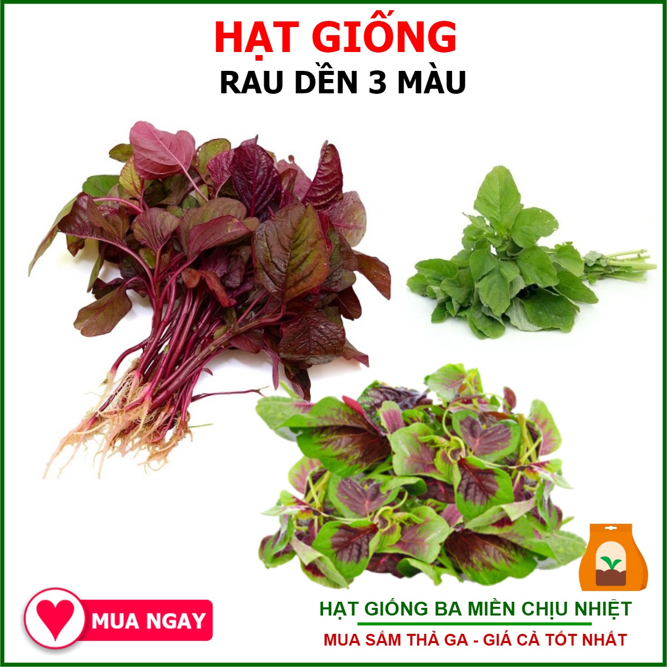 Hạt Giống Dền 3 Màu Sen Vàng Gói 20gram