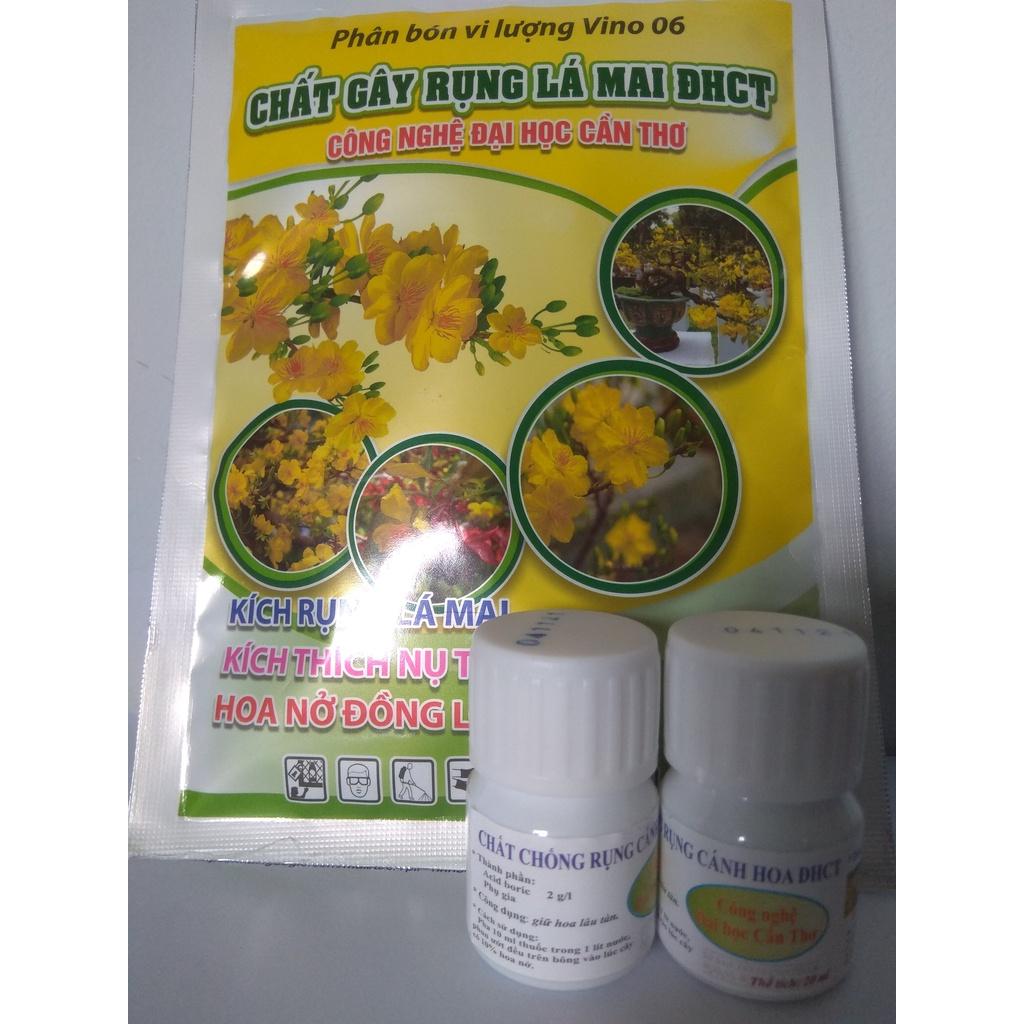 Combo dành cho hoa mai chơi tết  ĐHCT