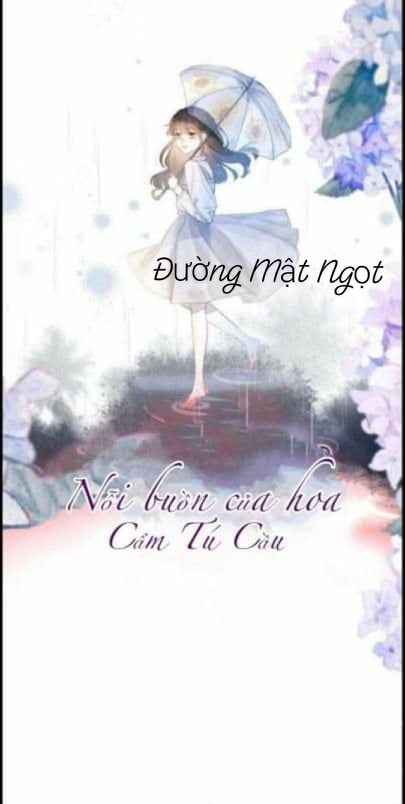 nỗi buồn của hoa cẩm tú cầu chapter 16 8