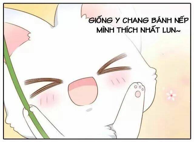 tiểu hồ ly vs tiểu hóa thượng chapter 42 11