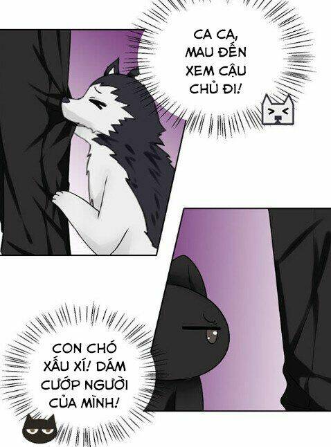 tổng tài ma cà rồng tha cho tôi chapter 34 5