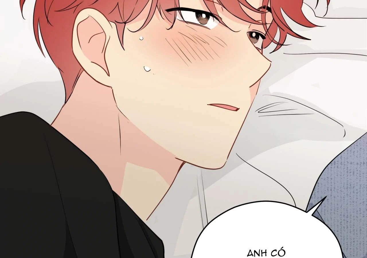 chuyện quái gì với giấc mơ đó vậy chapter 59 108