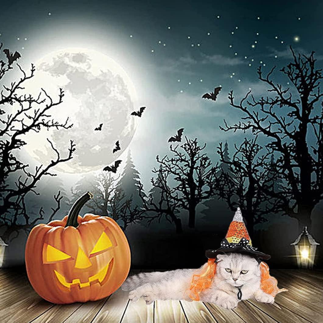 Mũ phù thủy cho mèo với tóc, trang phục Halloween cho thú cưng cho những người đứng đầu ngày lễ với mũ trùm đầu vui vẻ, mũ của Sorcerer cho mèo con