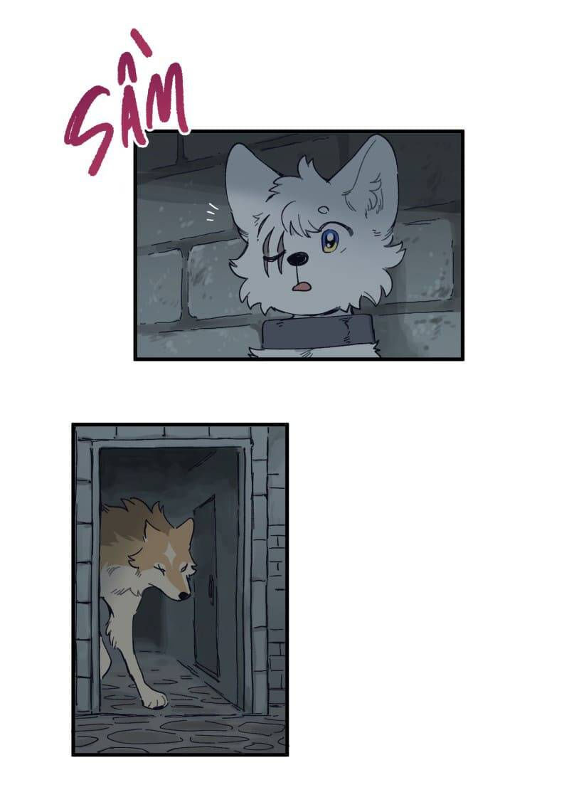 lumine - cội nguồn ánh sáng chapter 141 6