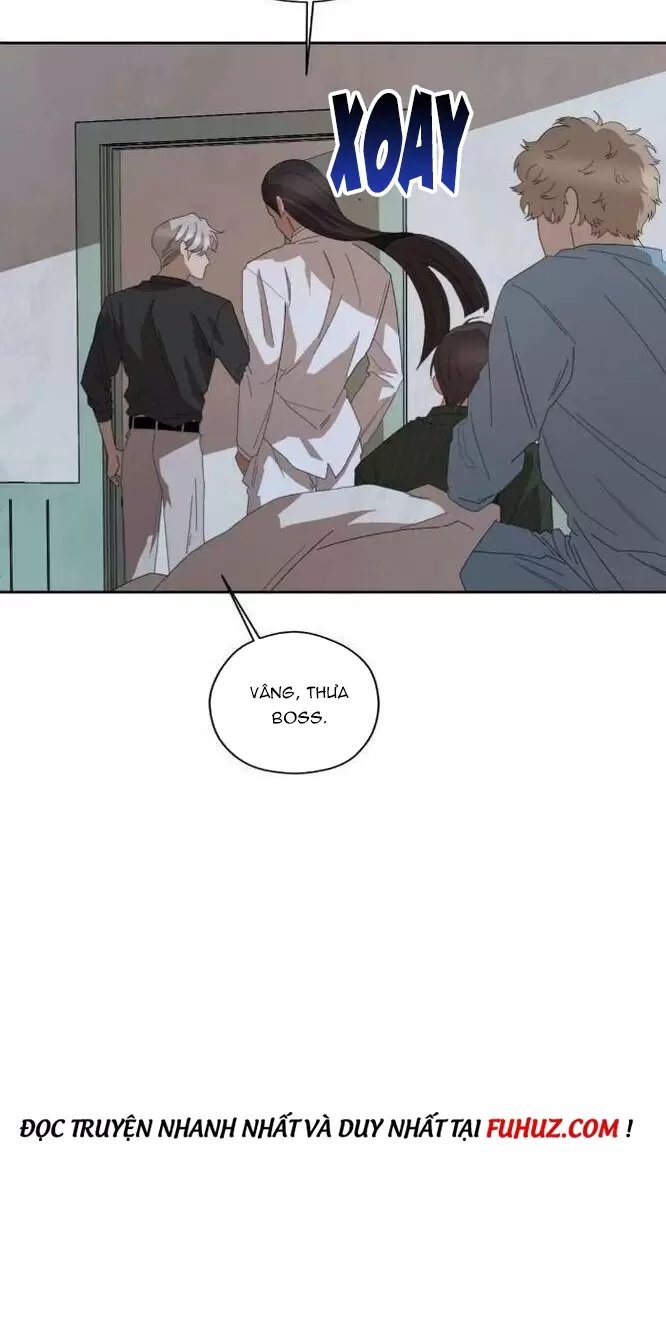 liveta chapter 31 42