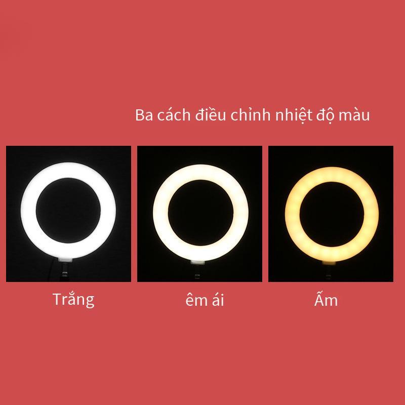 Giao hàng nhanh 8 inch làm đẹp phát sóng trực tiếp ánh sáng dạng vòng ánh sáng dịu nhẹ ánh sáng trắng ba màu lấp đầy ánh sáng chụp selfie di động khẩu độ lấp đầy ánh sáng