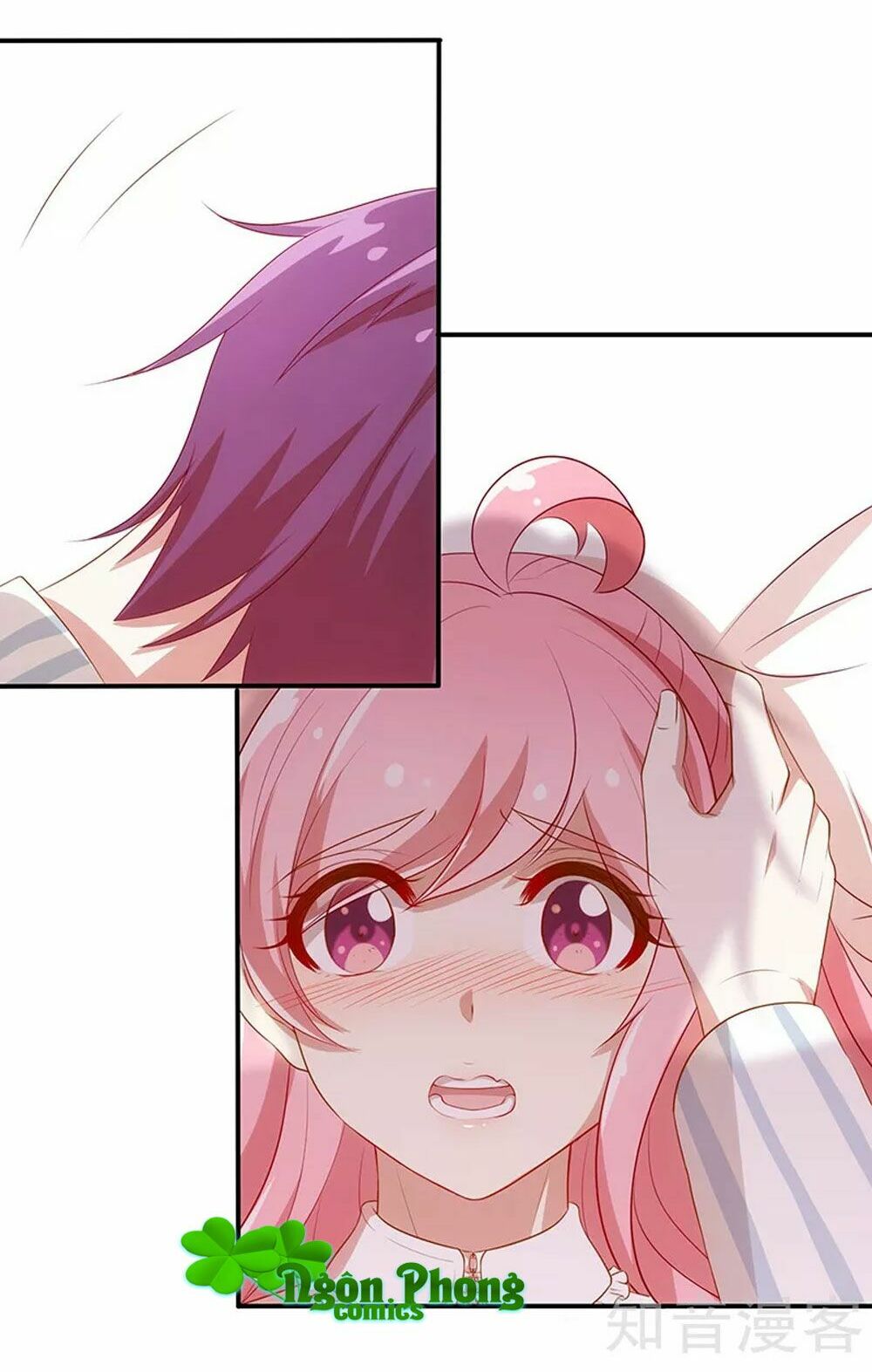 cả thế giới đều không bằng người chapter 82 5