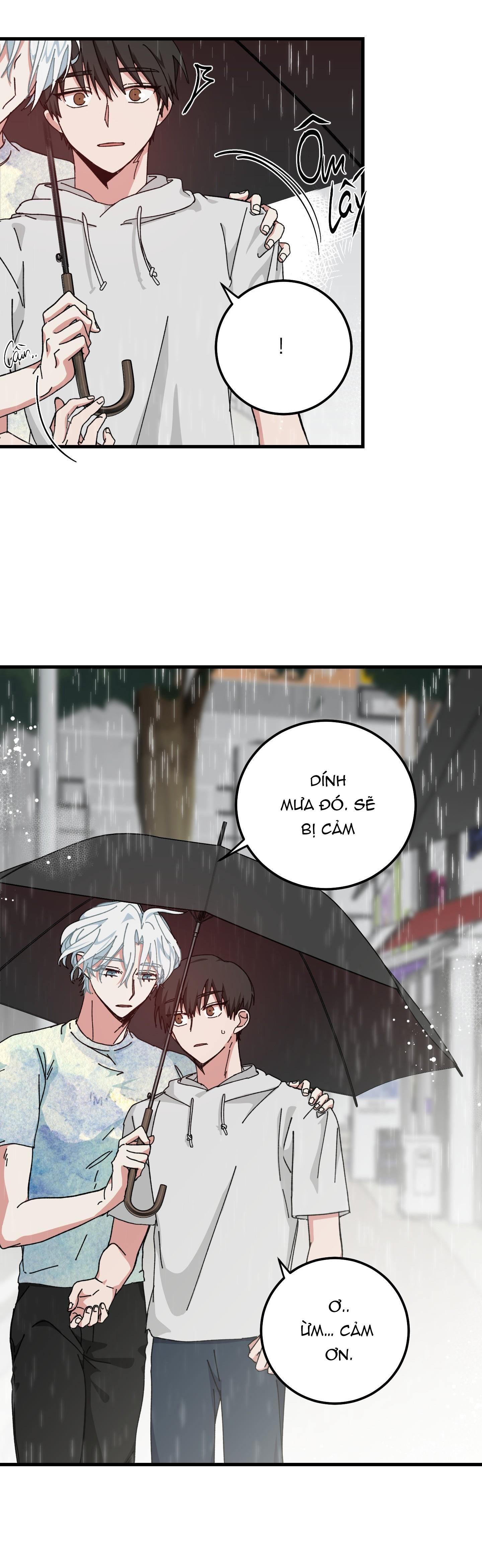 yêu tôi đi, thần hộ mệnh chapter 14 16