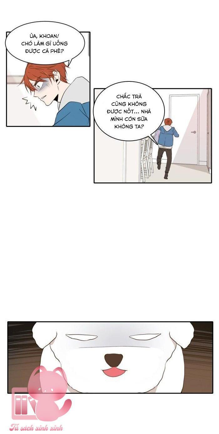 a good day to be a dog chapter 11 19