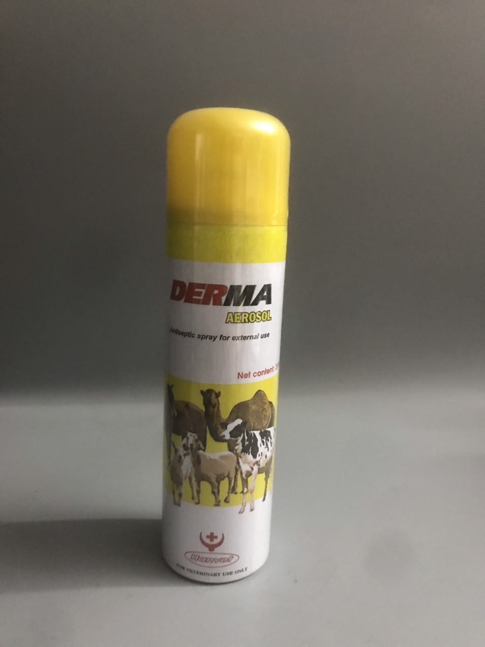 Derma aerosol, oxytetracyclin dùng xịt ngoài da cho chó, mèo, lợn, trâu, bò