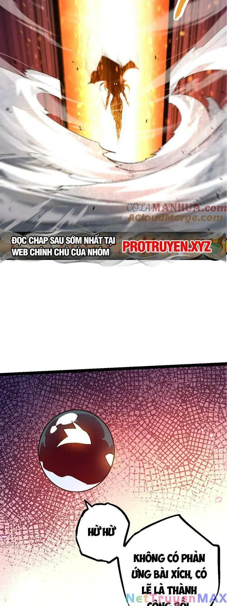 chuyển sinh thành liễu đột biến chapter 90 8