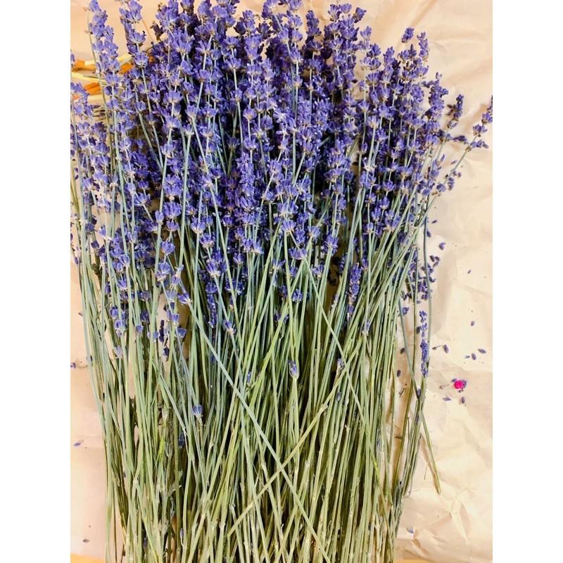 Set 20 cành hoa khô Oải Hương Lavender hàng chuẩn,đẹp