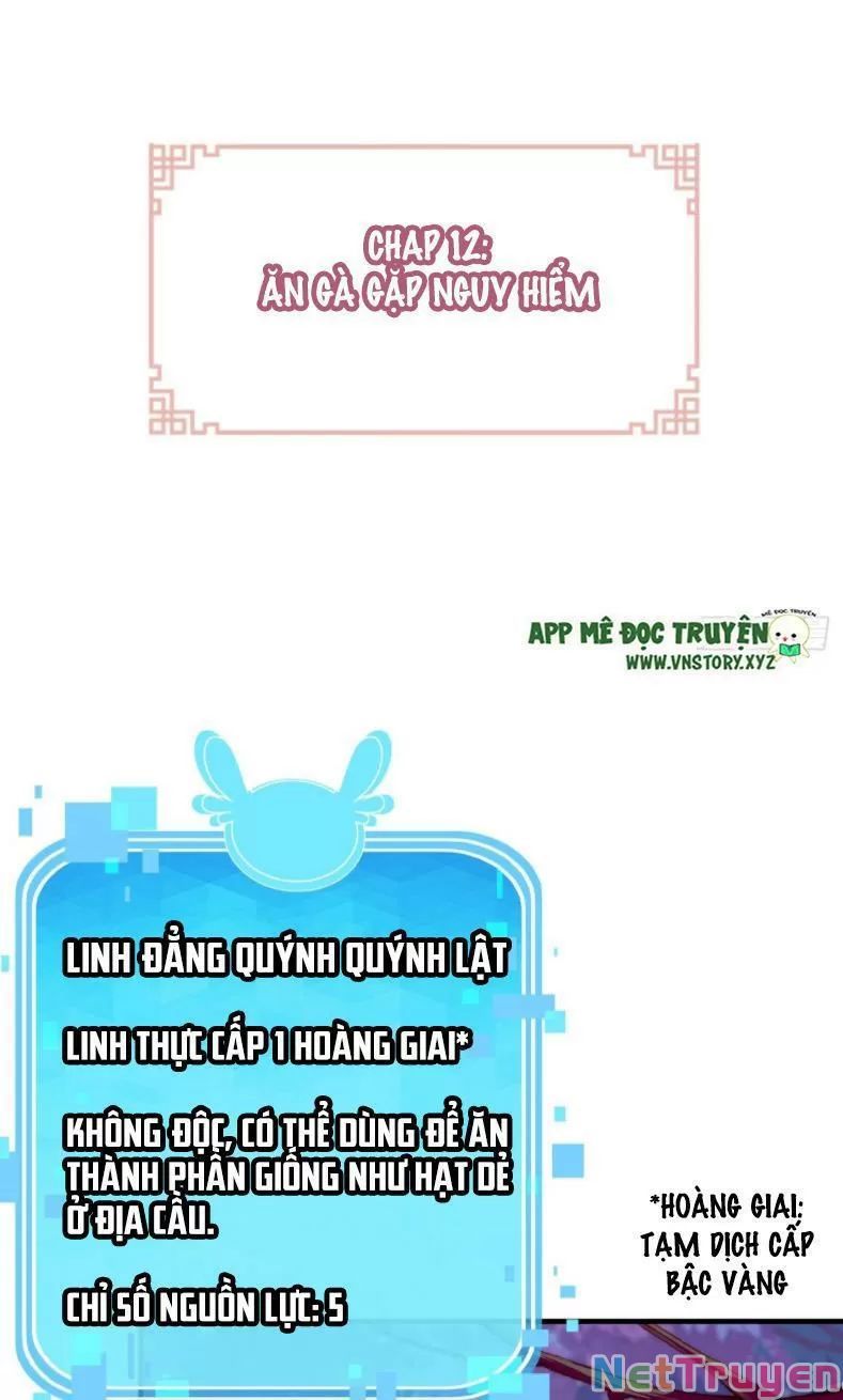 lại bị bệnh chiều chuộng quấn lấy chapter 12 2