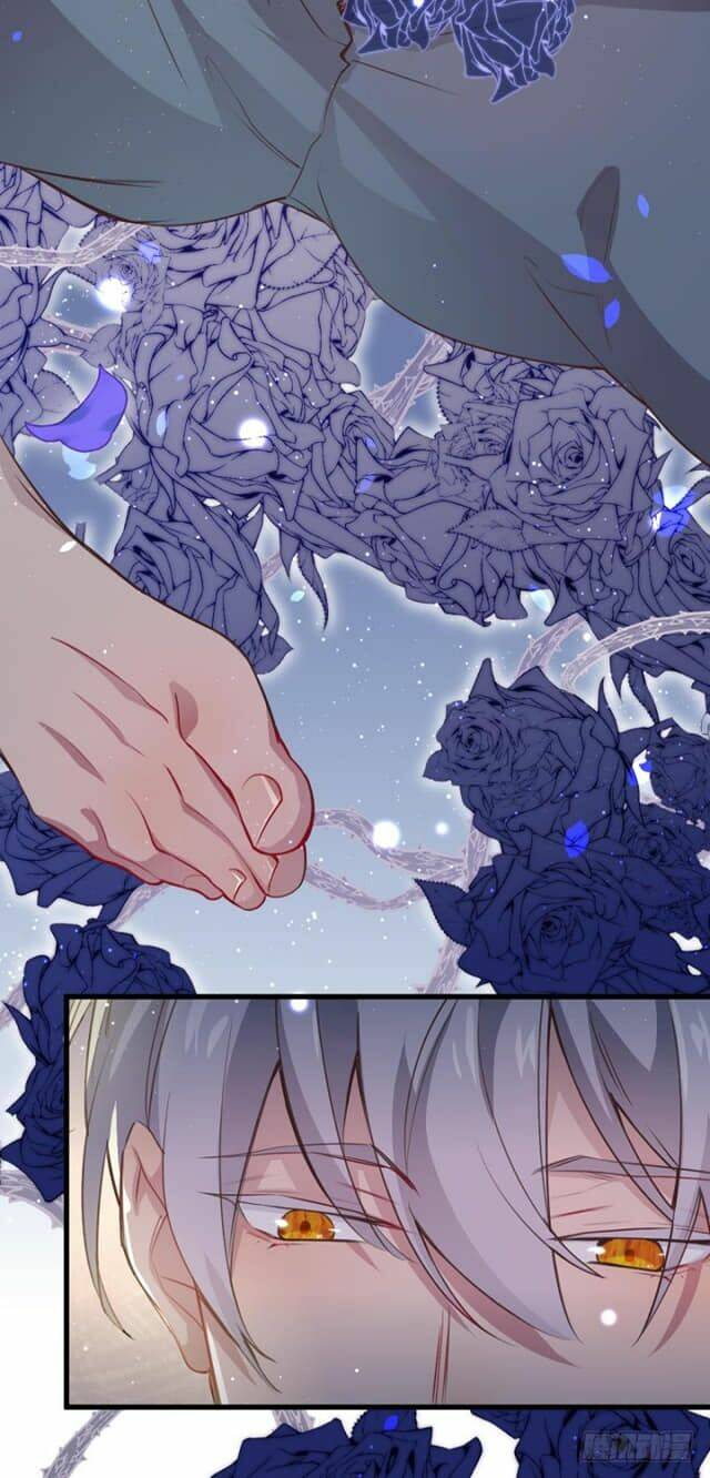 lang quân, xin đừng...! chapter 2 26