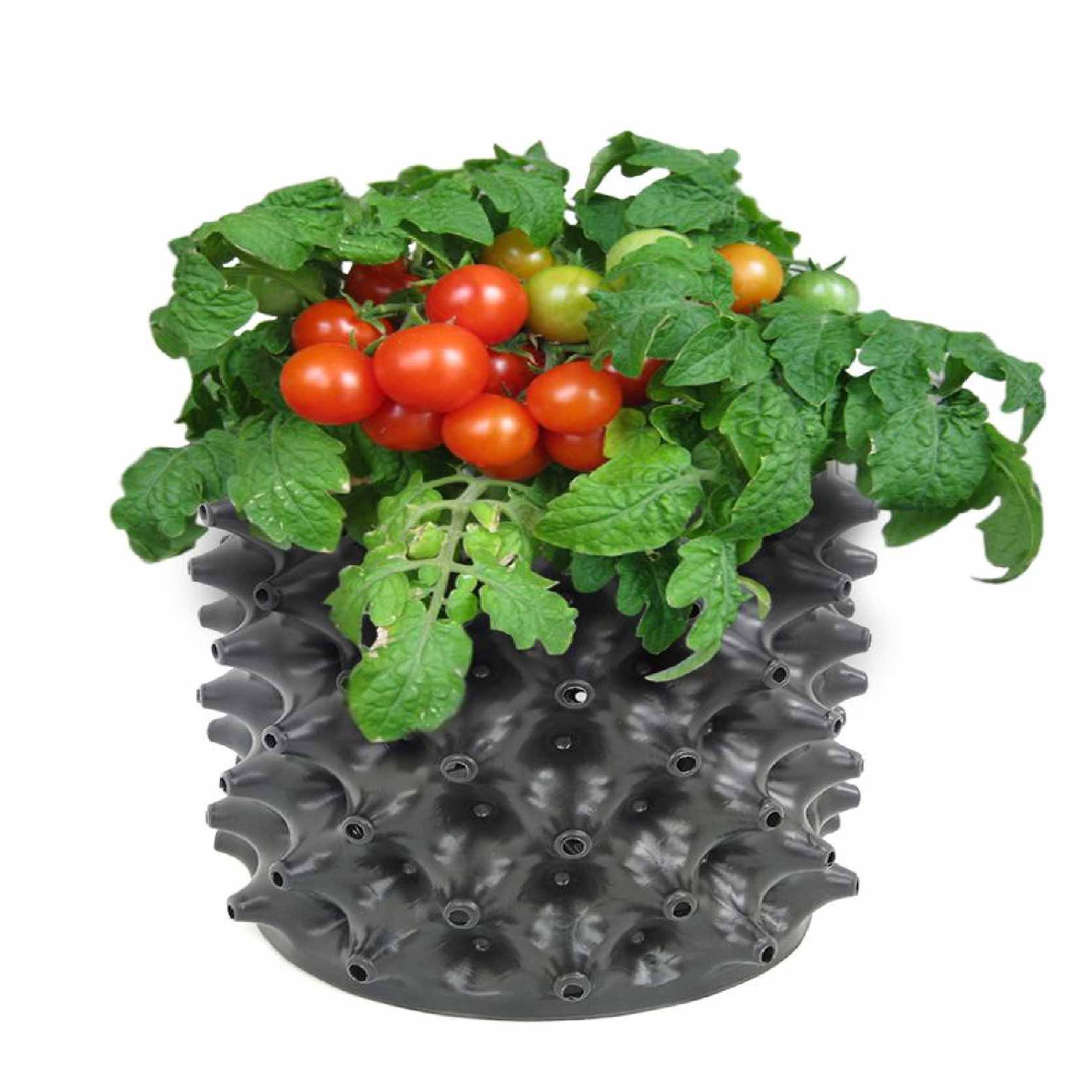 Bầu ươm cây thông minh Ecopot cao 40cm x dài 25m