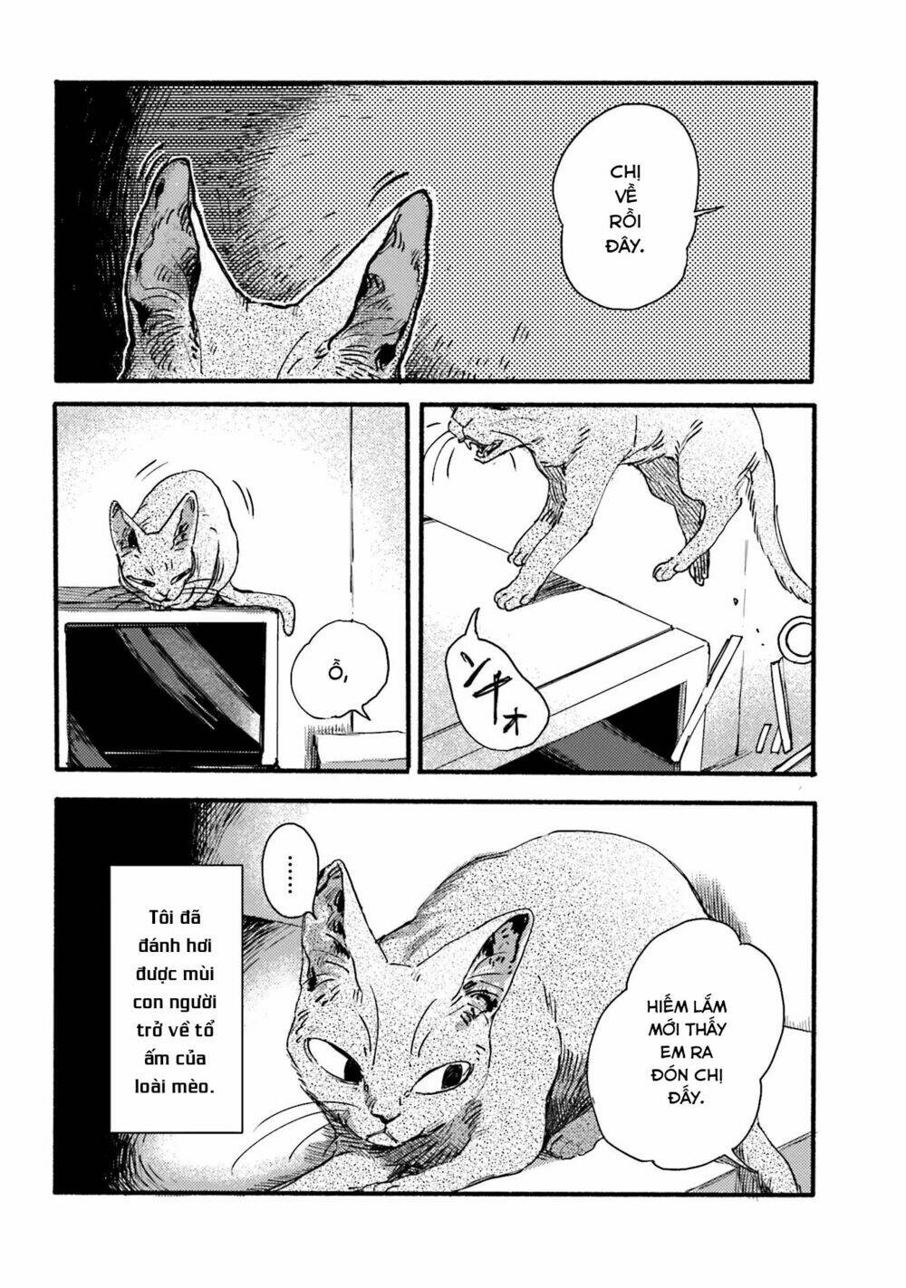 nekodamari chapter 2 7