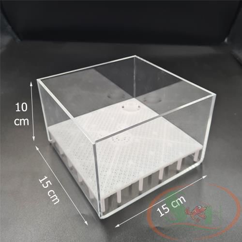 Hộp lọc đáy Taiwan DIY Undergravel Filter Box mica sủi đáy hồ cá tép