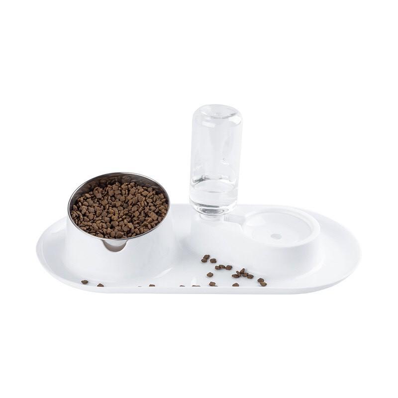 Bát ăn chó mèo tránh bẩn sàn nhà