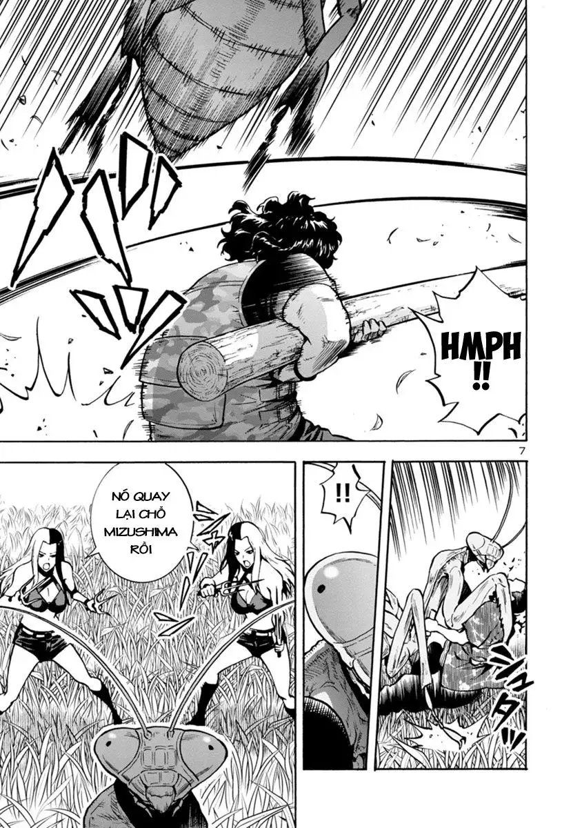 Siêu Đảo Côn Trùng chapter 11.1 7