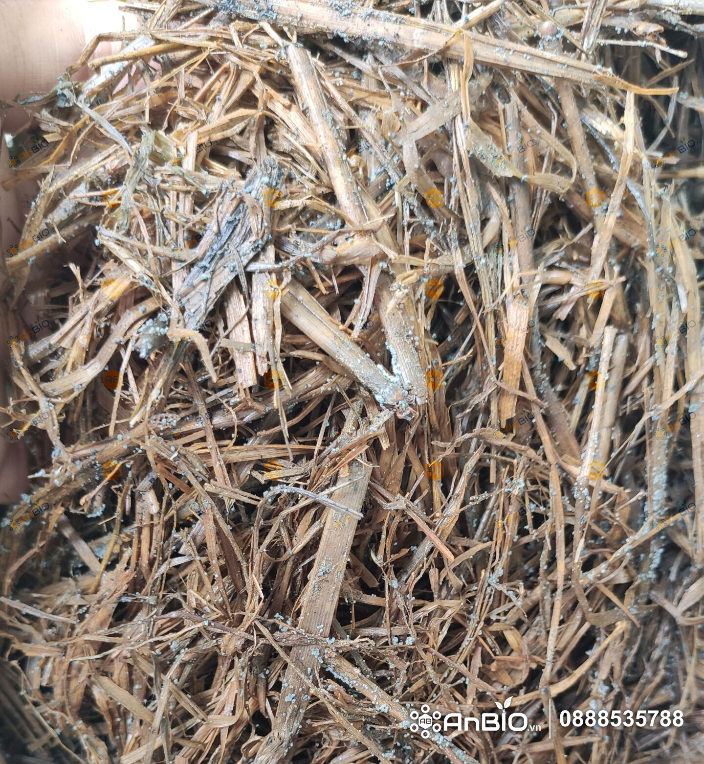 Chế phẩm nấm đối kháng Trichoderma Plus Sfarm | Kiểm soát nấm bệnh - Gói 1Kg