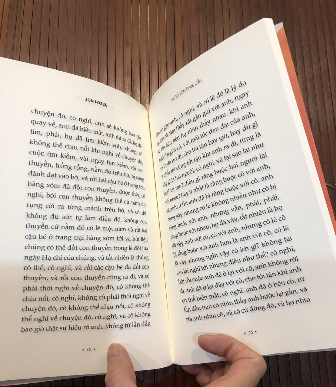 ALISS BÊN ĐÁM LỬA - Một Tác Phẩm Của Nhà Văn Đoạt Giải Nobel Văn Chương 2023 (Jon Fosse)