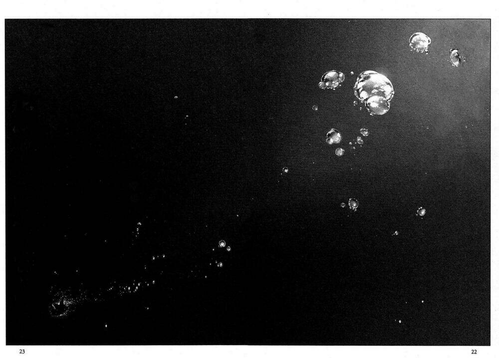 innocent rouge (innocent phần 2) chapter 43 22