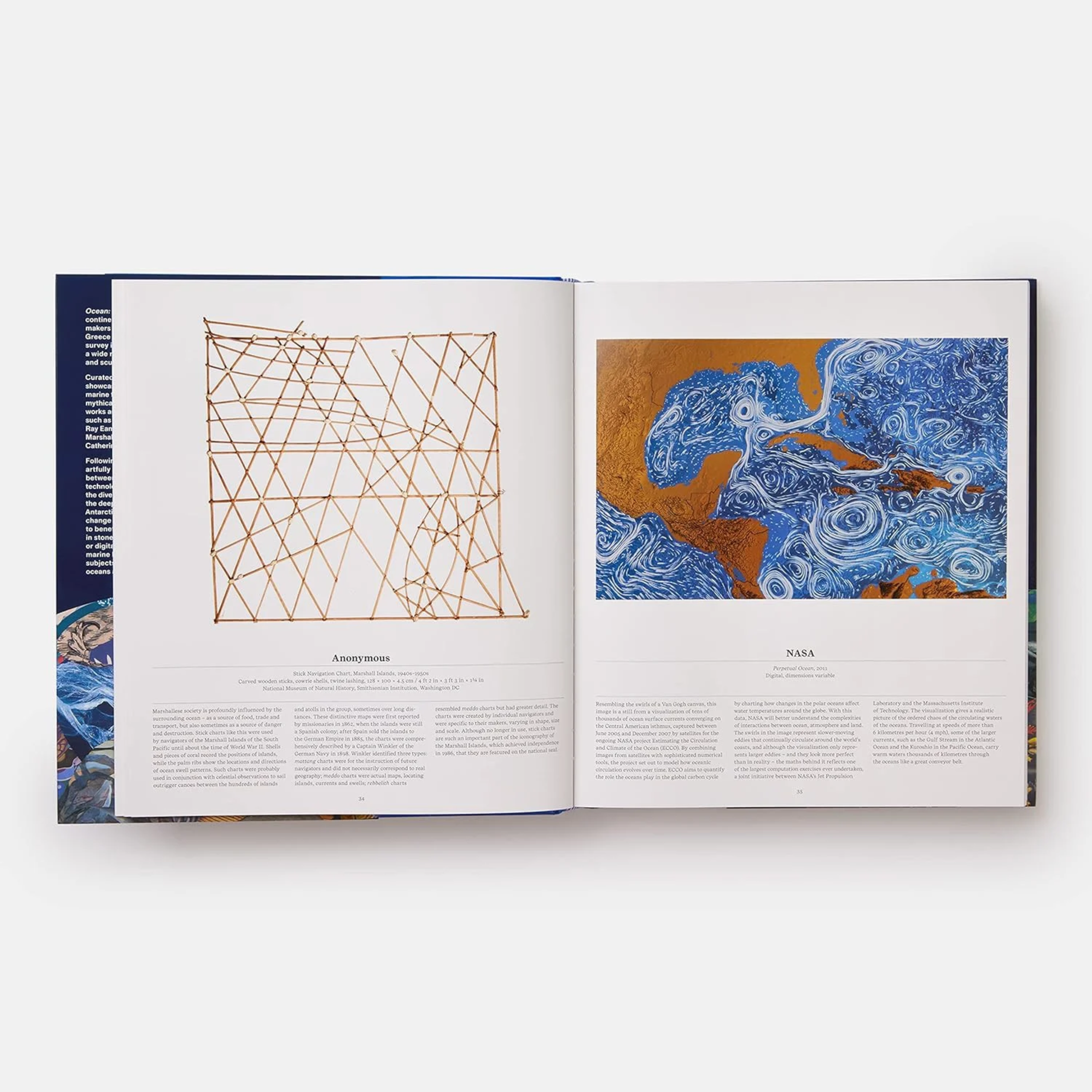 Artbook - Sách Tiếng Anh -  Ocean: Exploring the Marine World