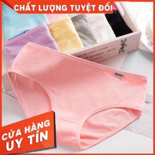 Quần lót cho bé trơn từ 10-15 tuổi combo 10 chiếc