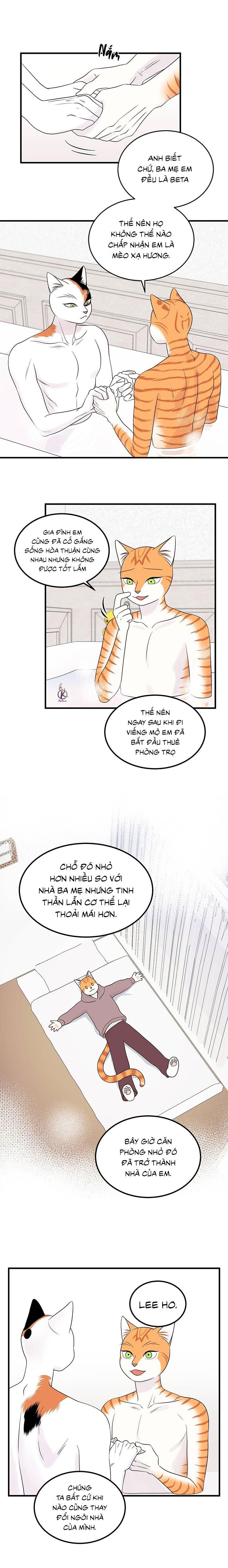 dự án xanh chapter 38 5